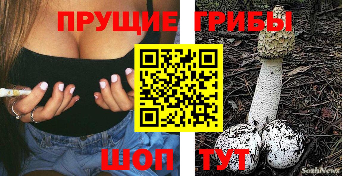 Томск  Псилоцибиновые грибы мухоморы  Вход с VPN 